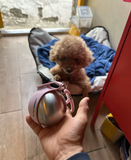 User picture 3